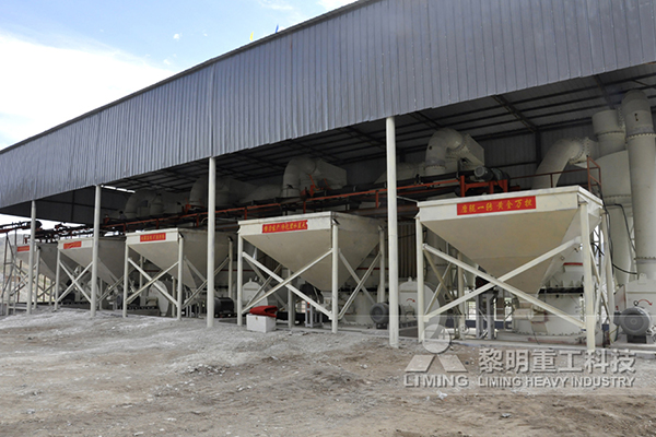 洛陽200目電廠脫硫石灰石粉生產(chǎn)項(xiàng)目(時(shí)產(chǎn)20噸生產(chǎn)線)